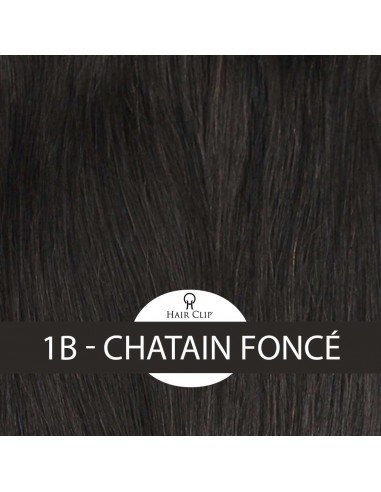 PONYTAIL - Queue de Cheval Hair Clip...