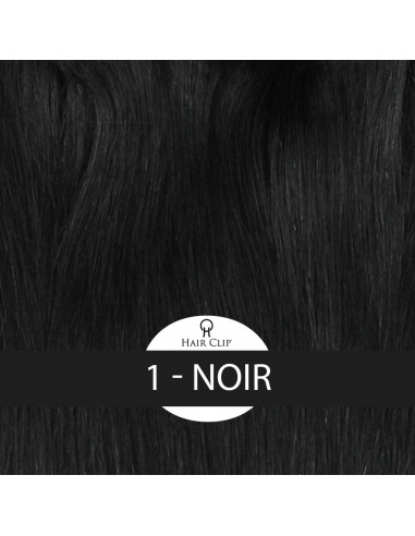 PONYTAIL - Queue de Cheval Hair Clip...