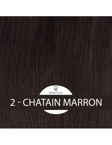 PONYTAIL - Queue de Cheval Hair Clip...