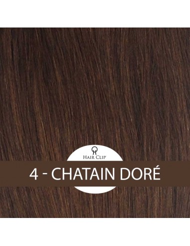 PONYTAIL - Queue de Cheval Hair Clip...