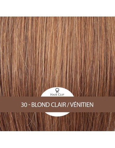 PONYTAIL - Queue de Cheval Hair Clip...