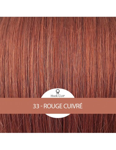 PONYTAIL - Queue de Cheval Hair Clip...