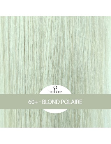 PONYTAIL - Queue de Cheval Hair Clip...