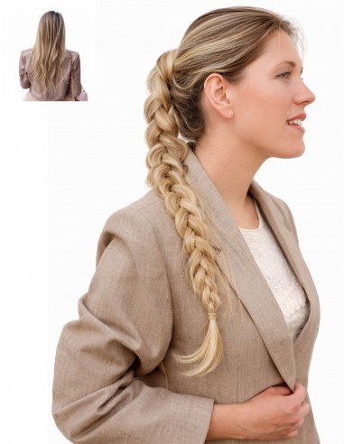 PONYTAIL - Queue de Cheval Hair Clip...