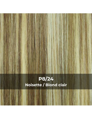 PONYTAIL - Queue de Cheval Hair Clip...