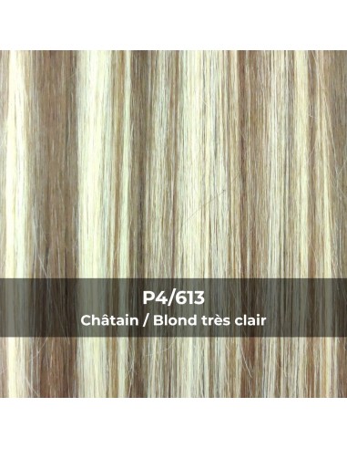 PONYTAIL - Queue de Cheval Hair Clip...